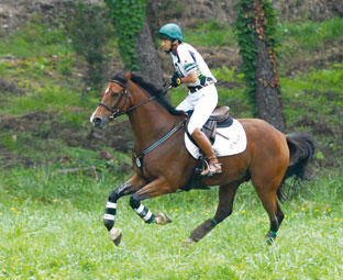 全日本総合馬術大会選手権２位の細野茂之選手とイペカ号（八王子乗馬クラブ）