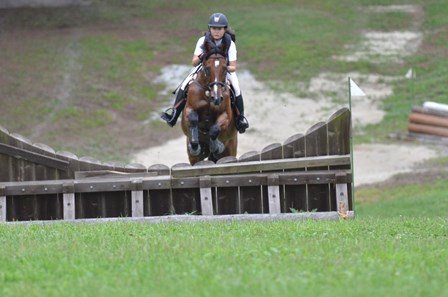 公益社団法人 日本馬術連盟 Japan Equestrian Federation 日本馬術連盟 日馬連 馬術連盟 公益社団法人 日本馬術連盟
