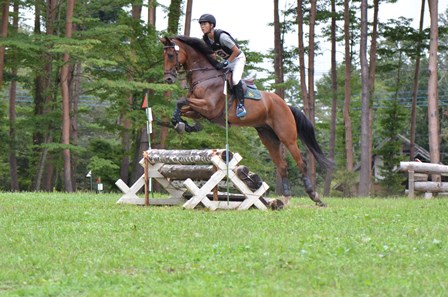 公益社団法人 日本馬術連盟 Japan Equestrian Federation 日本馬術連盟 日馬連 馬術連盟 公益社団法人 日本馬術連盟