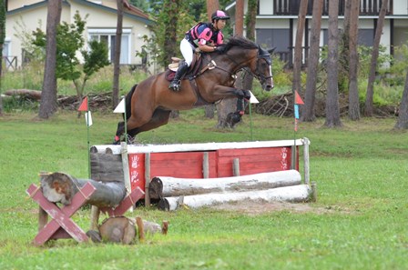 公益社団法人 日本馬術連盟 Japan Equestrian Federation 日本馬術連盟 日馬連 馬術連盟 公益社団法人 日本馬術連盟