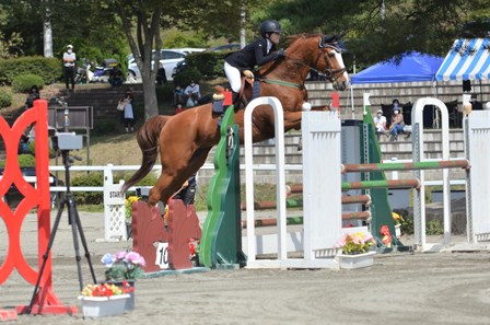 公益社団法人 日本馬術連盟 Japan Equestrian Federation 日本馬術連盟 日馬連 馬術連盟 公益社団法人 日本馬術連盟