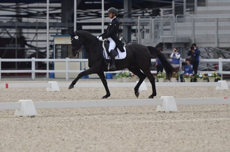 公益社団法人 日本馬術連盟 Japan Equestrian Federation 日本馬術連盟 日馬連 馬術連盟 公益社団法人 日本馬術連盟