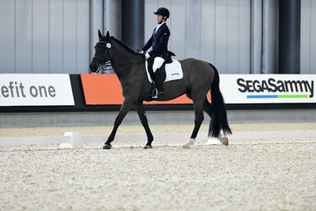 公益社団法人 日本馬術連盟 Japan Equestrian Federation 日本馬術連盟 日馬連 馬術連盟 公益社団法人 日本馬術連盟