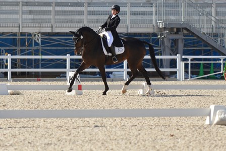 公益社団法人 日本馬術連盟 Japan Equestrian Federation 日本馬術連盟 日馬連 馬術連盟 公益社団法人 日本馬術連盟