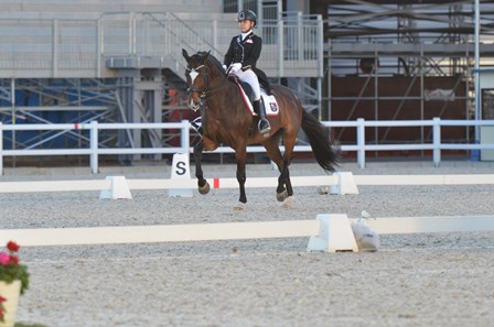 公益社団法人 日本馬術連盟 Japan Equestrian Federation 日本馬術連盟 日馬連 馬術連盟 公益社団法人 日本馬術連盟