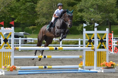 公益社団法人 日本馬術連盟 Japan Equestrian Federation 日本馬術連盟 日馬連 馬術連盟 公益社団法人 日本馬術連盟