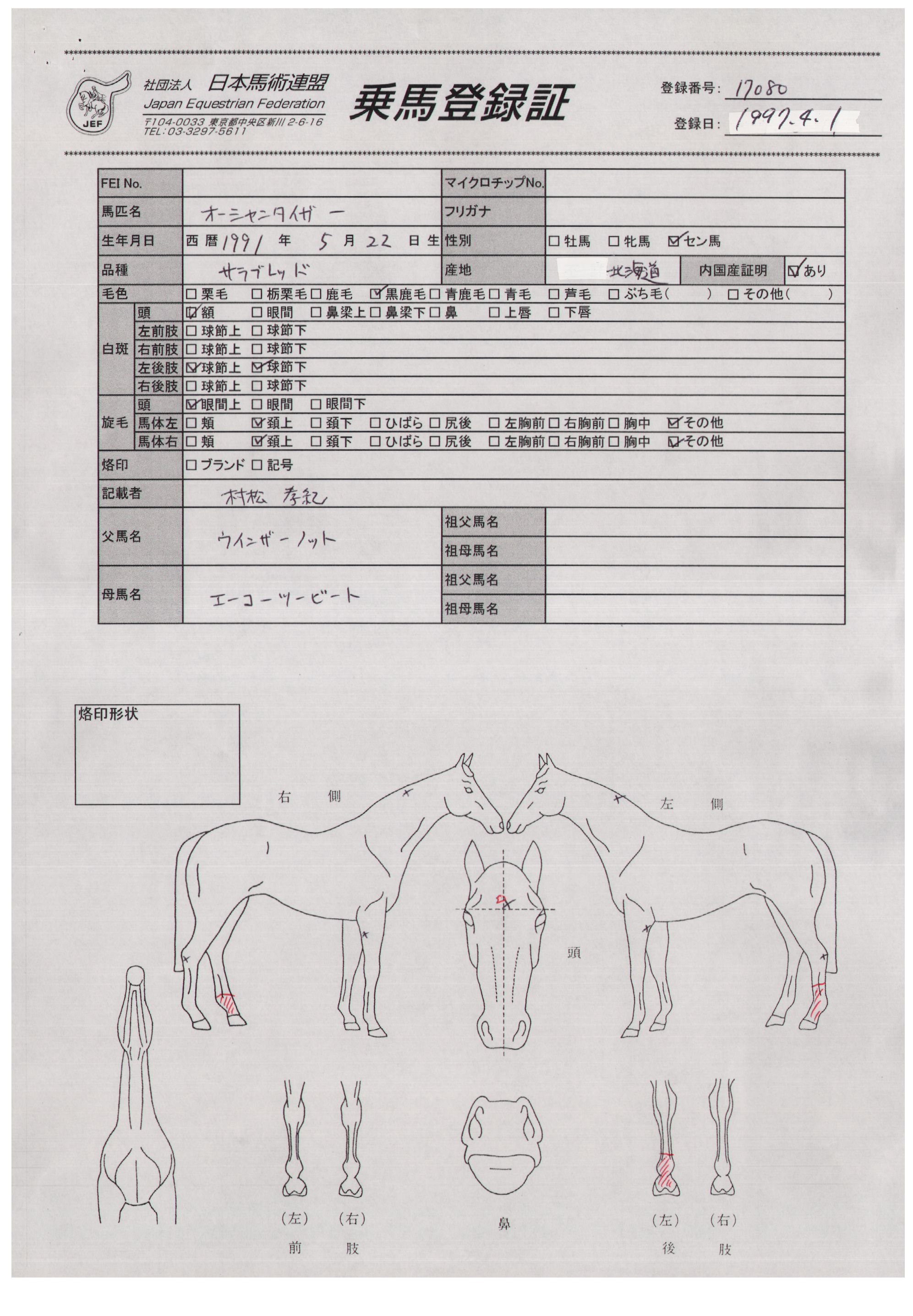 公益社団法人 日本馬術連盟 Japan Equestrian Federation 日本馬術連盟 日馬連 馬術連盟 公益社団法人 日本馬術連盟 公益社団法人 日本馬術連盟 Japan Equestrian Federation 日本馬術連盟 日馬連 馬術連盟 公益社団法人 日本馬術連盟