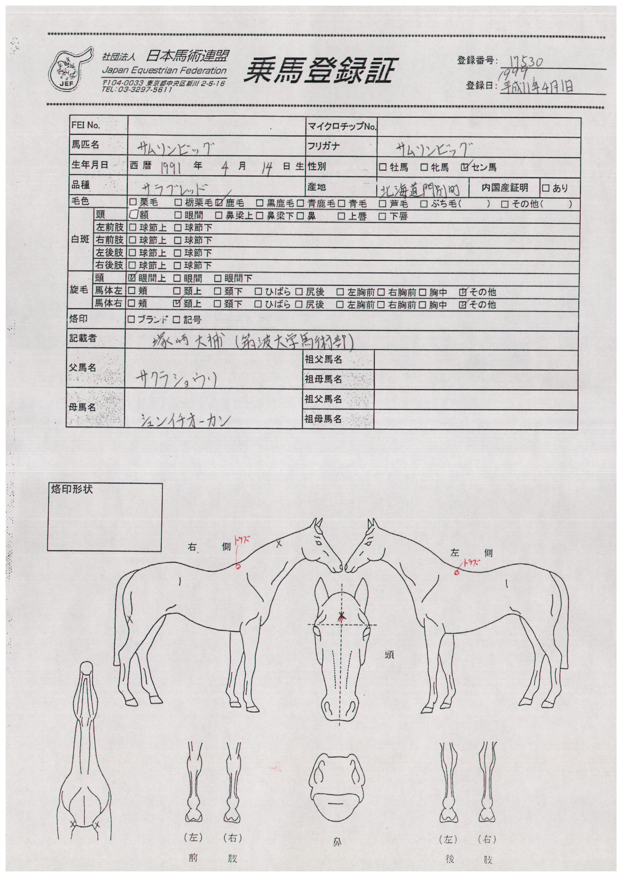 乗馬登録証