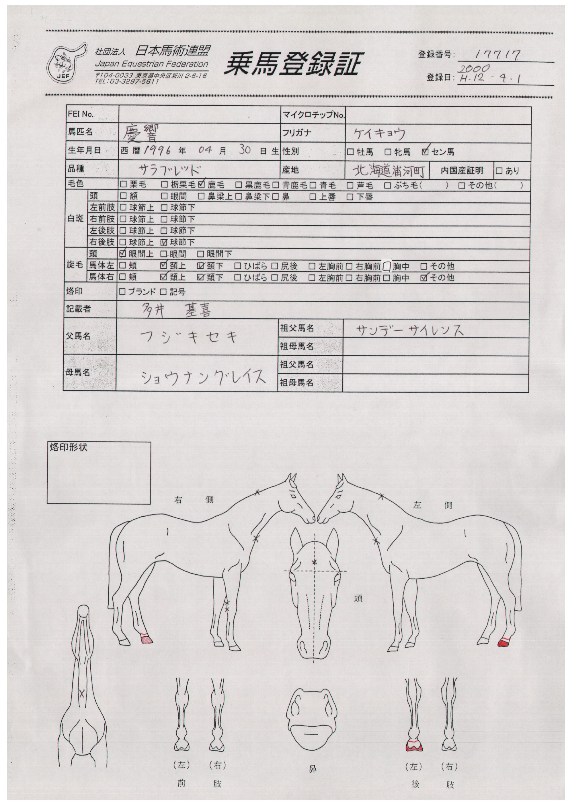 公益社団法人 日本馬術連盟 Japan Equestrian Federation 日本馬術連盟 日馬連 馬術連盟 公益社団法人 日本馬術連盟