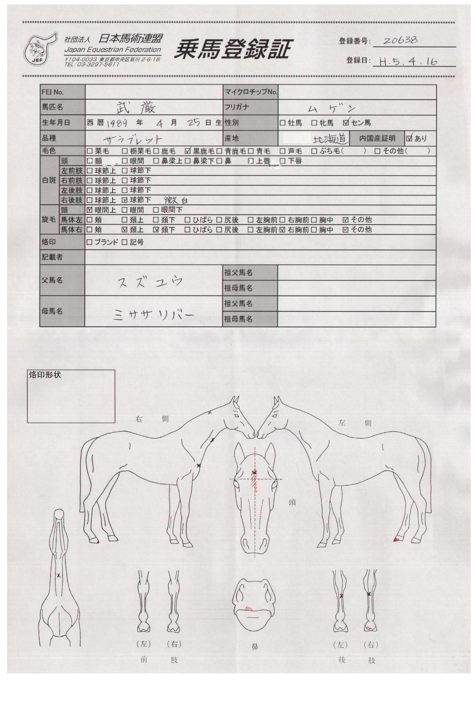 乗馬登録証