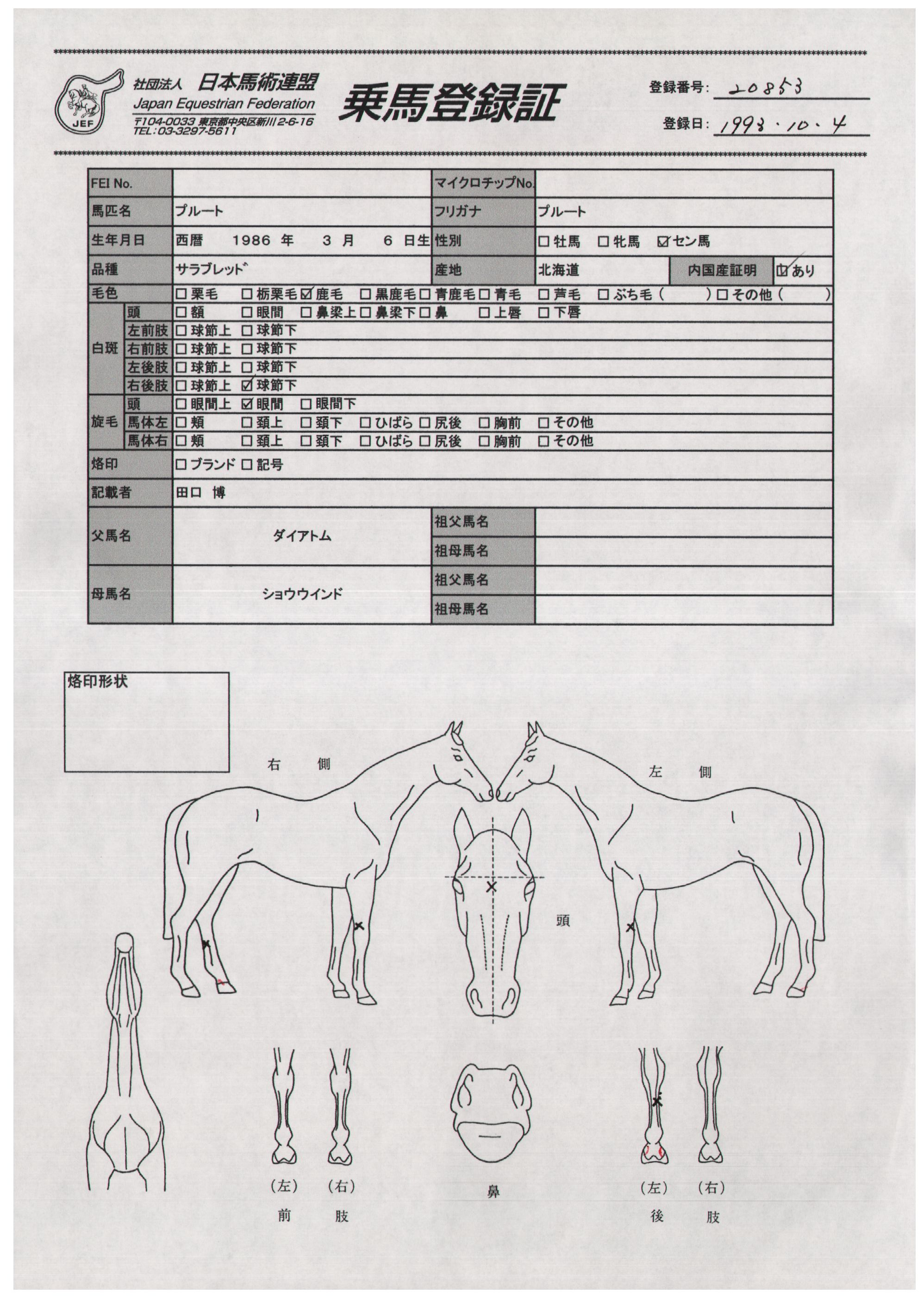 乗馬登録証