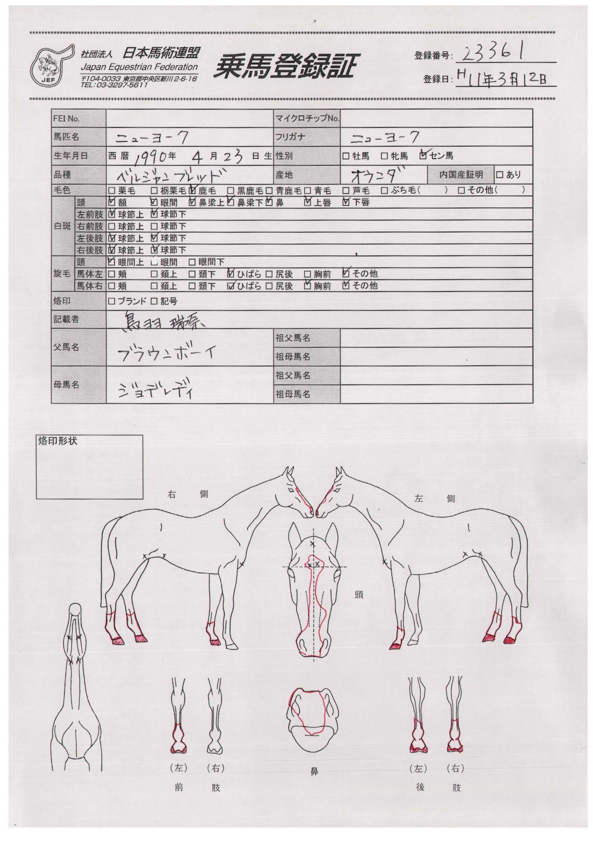 乗馬登録証