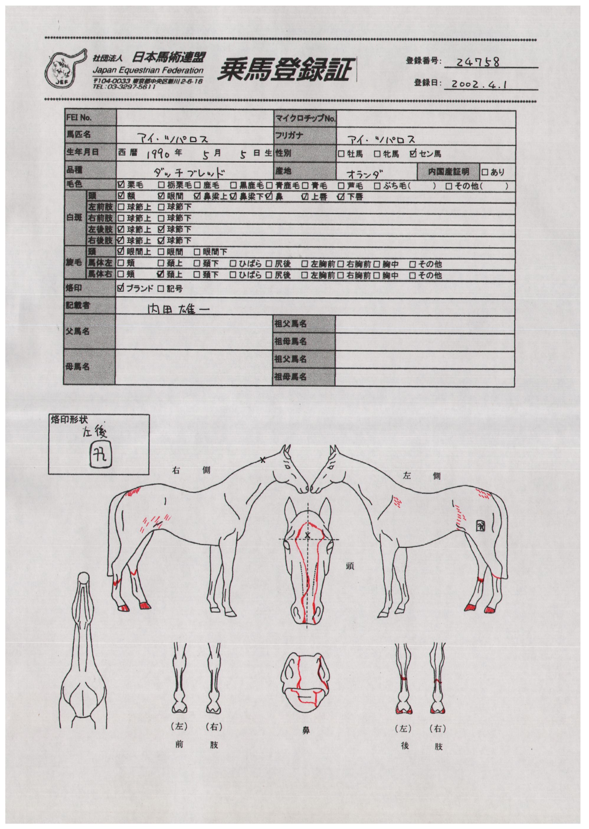 乗馬登録証