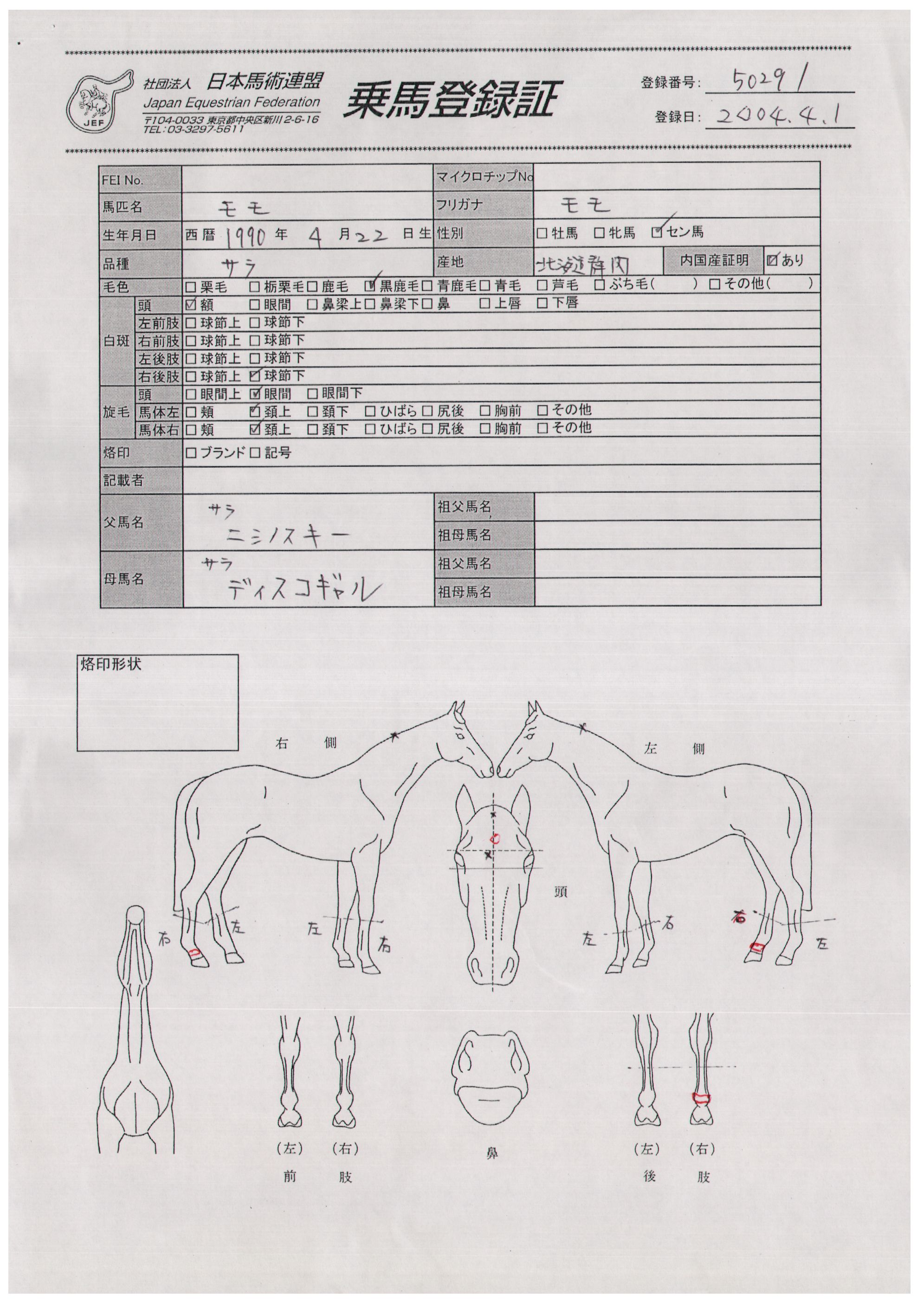 乗馬登録証
