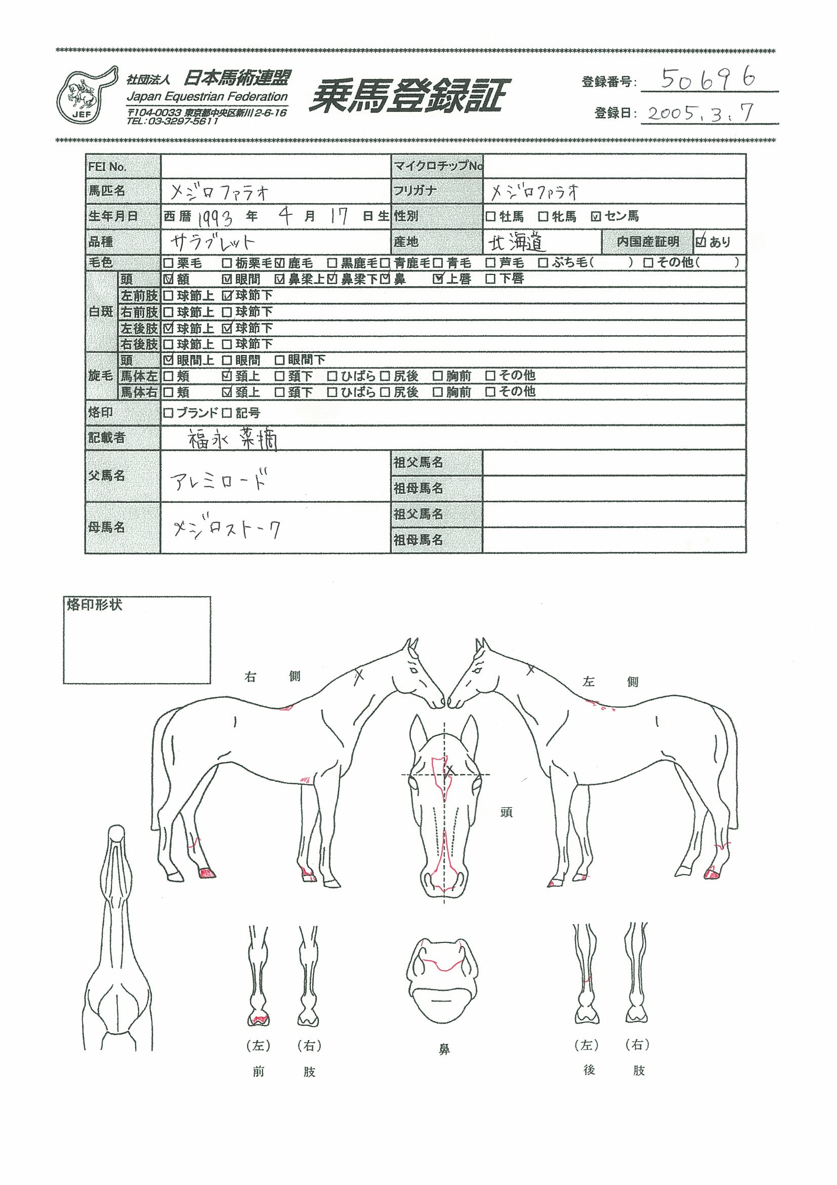 乗馬登録証