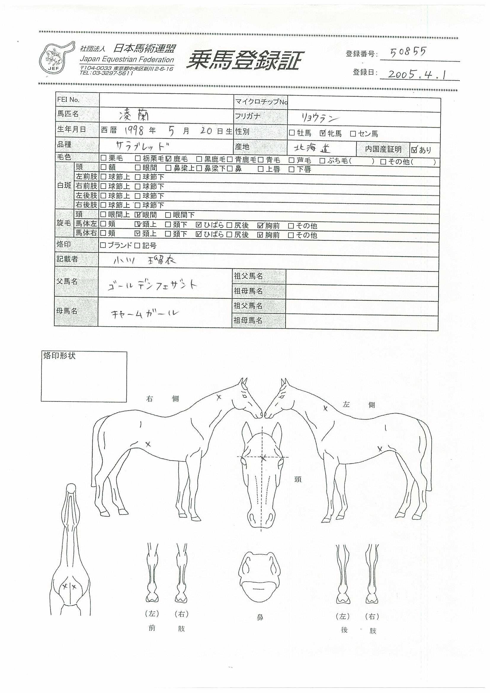 公益社団法人 日本馬術連盟 Japan Equestrian Federation 日本馬術連盟 日馬連 馬術連盟 公益社団法人 日本馬術連盟