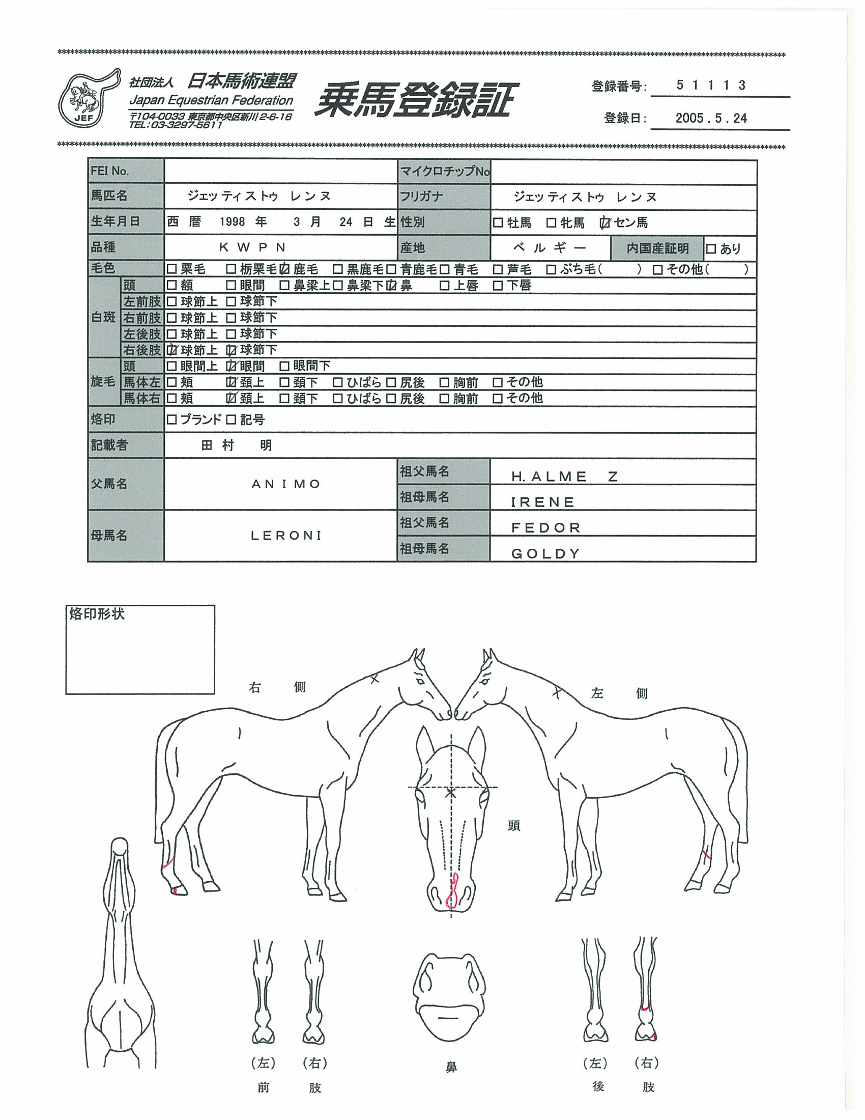 乗馬登録証
