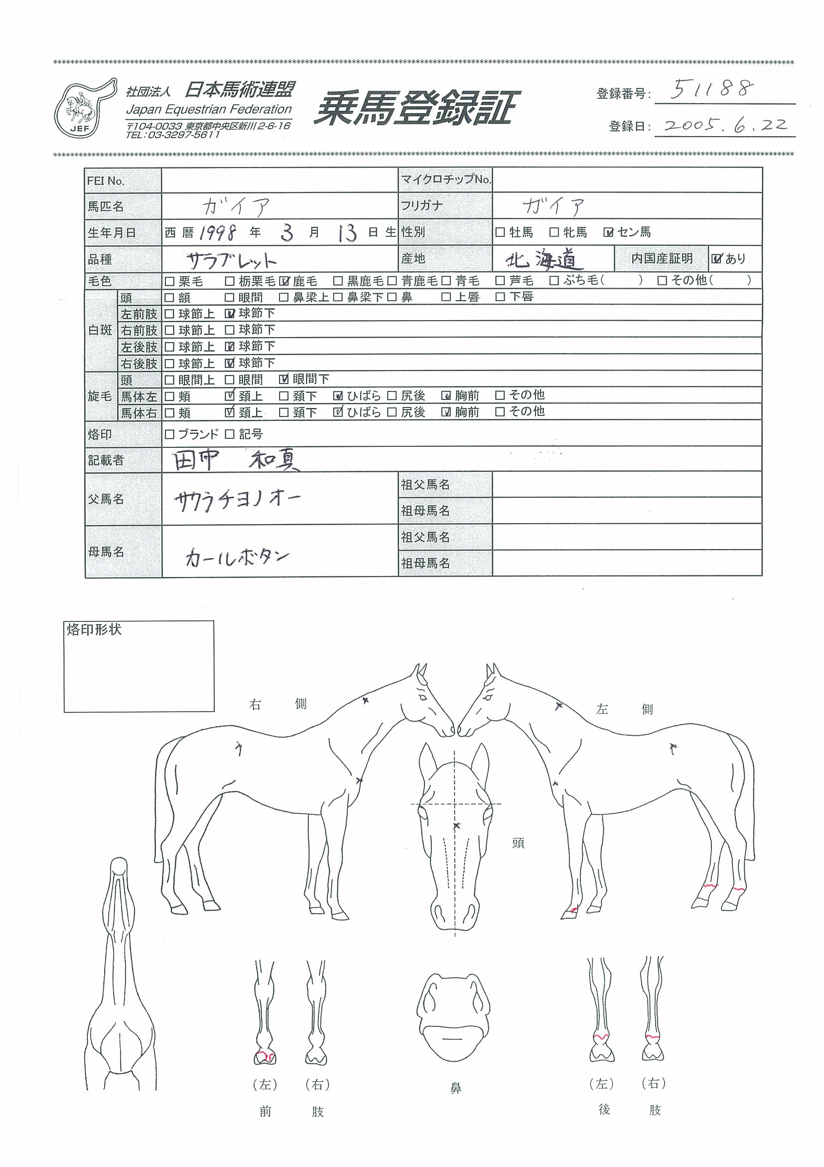 公益社団法人 日本馬術連盟 Japan Equestrian Federation 日本馬術連盟 日馬連 馬術連盟 公益社団法人 日本馬術連盟