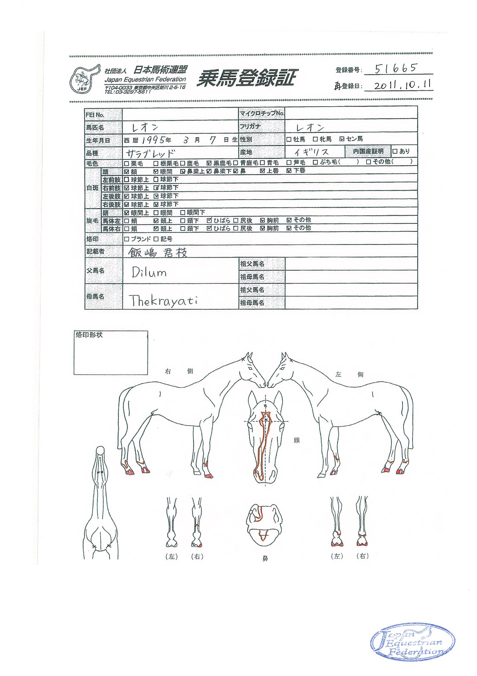 公益社団法人 日本馬術連盟 Japan Equestrian Federation 日本馬術連盟 日馬連 馬術連盟 公益社団法人 日本馬術連盟