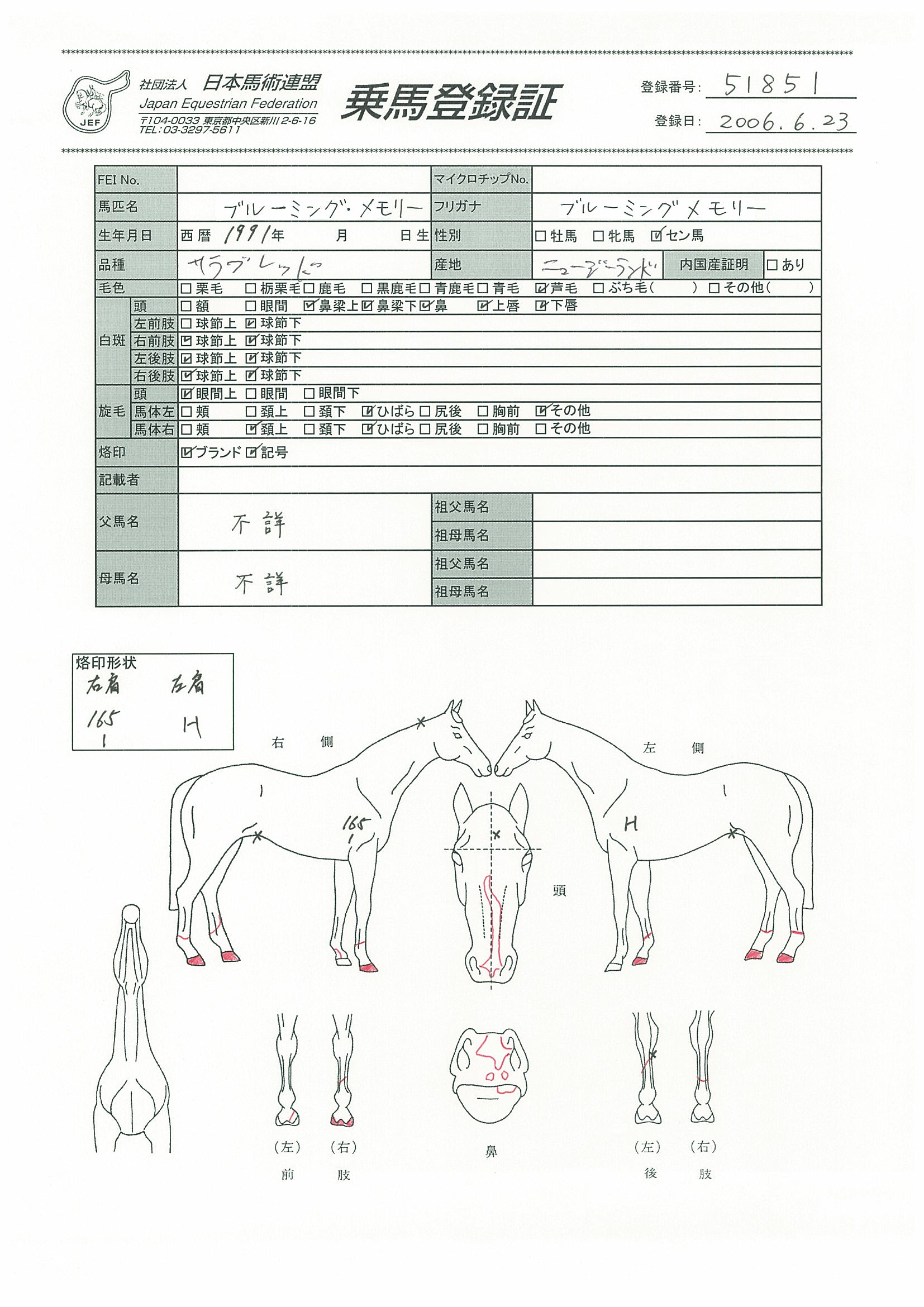 乗馬登録証