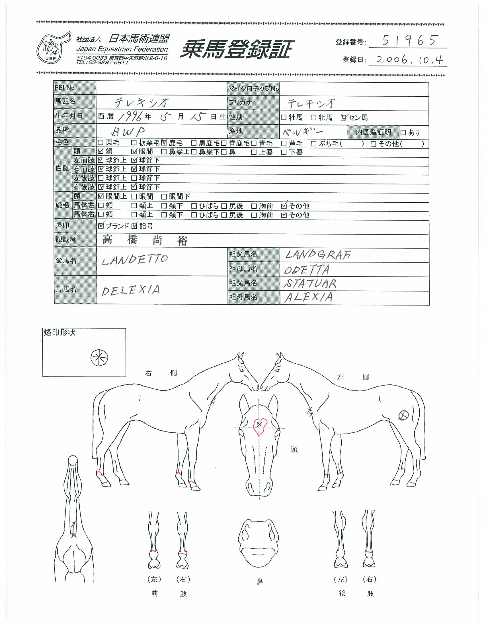 公益社団法人 日本馬術連盟 Japan Equestrian Federation 日本馬術連盟 日馬連 馬術連盟 公益社団法人 日本馬術連盟