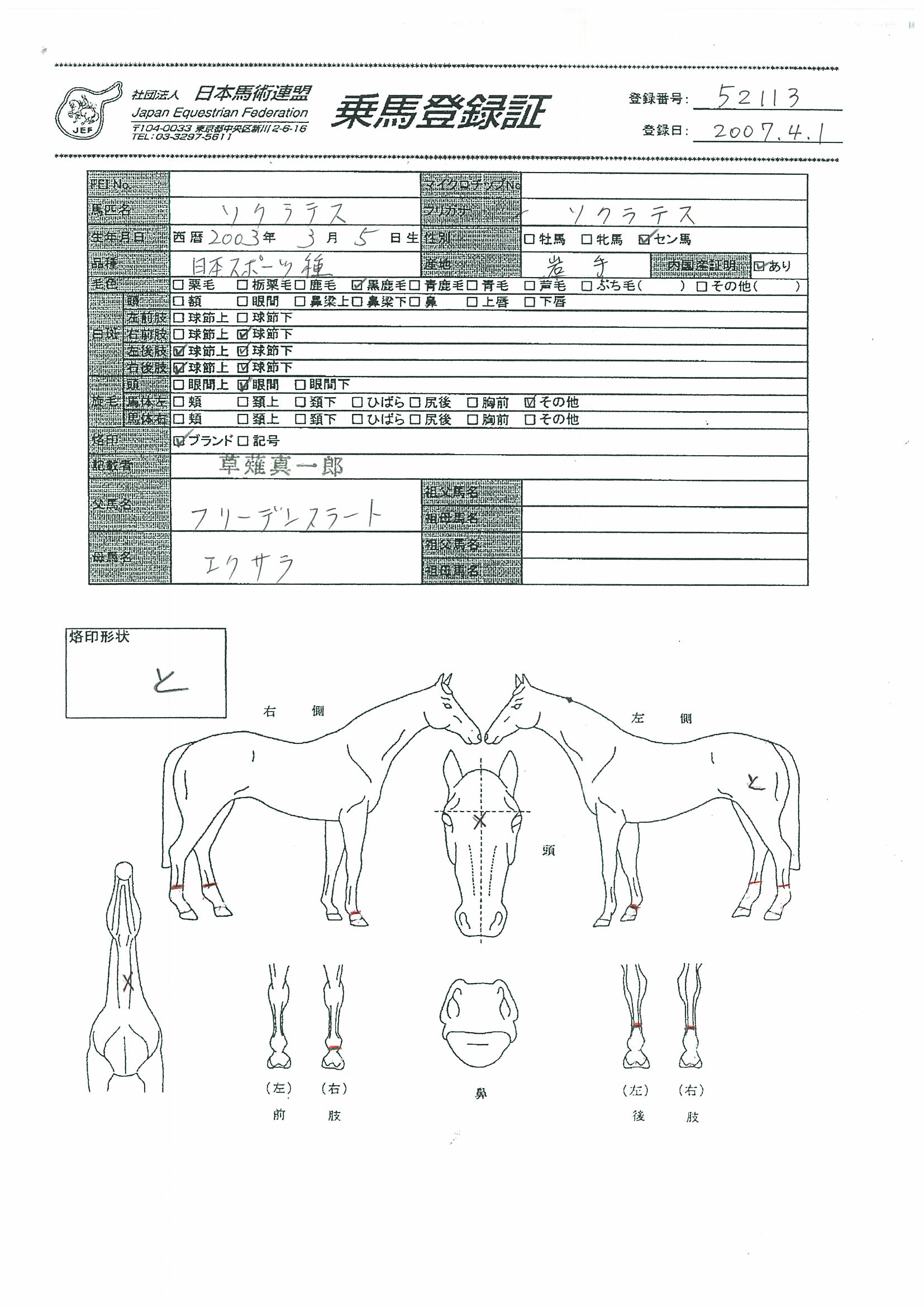 乗馬登録証