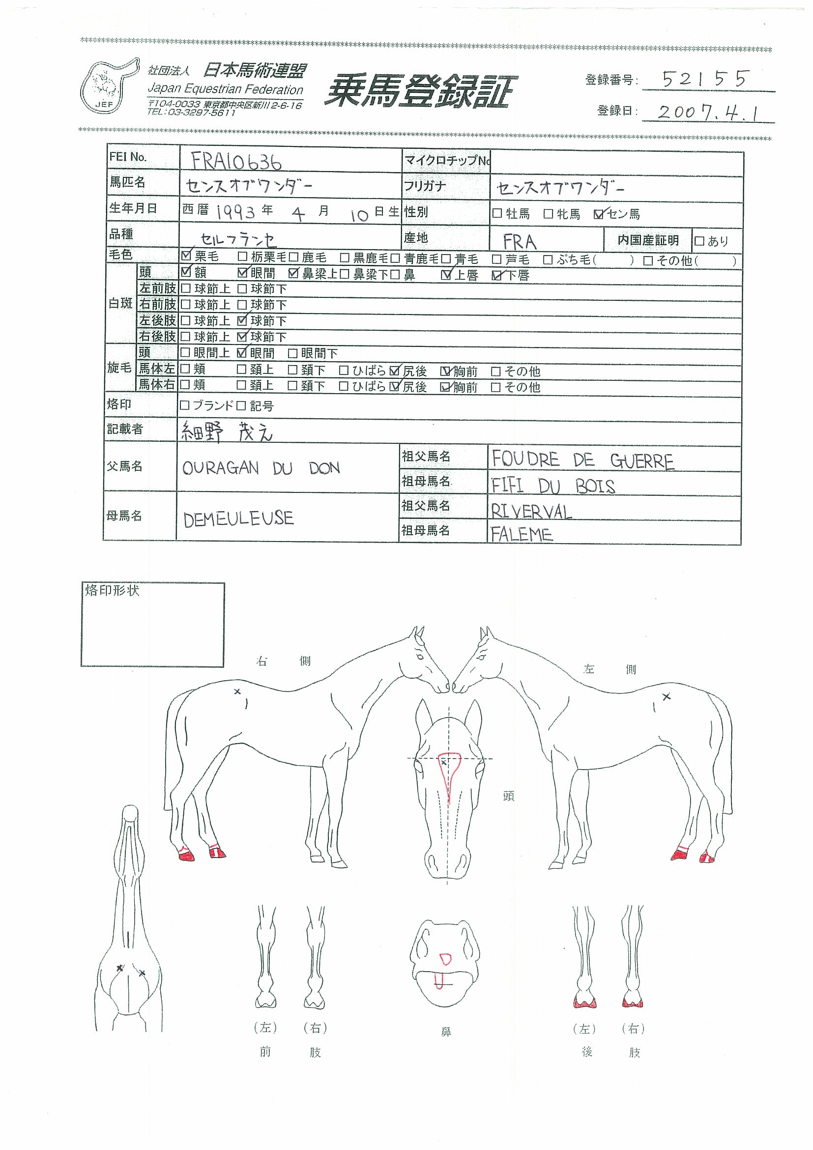 日本の競馬〈1〉法令等の変遷及び主要事項 競馬史に残る名馬のJRA公式レースをノーカット収録したDVD付き