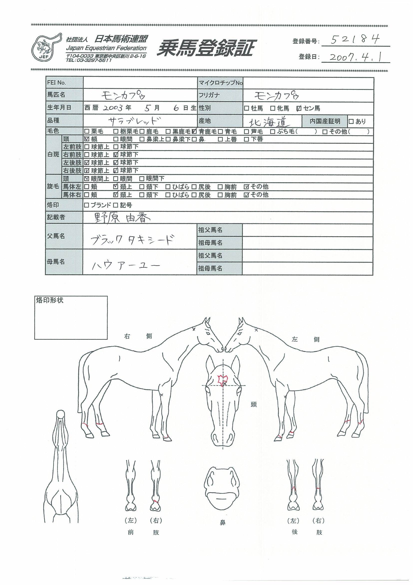 乗馬登録証