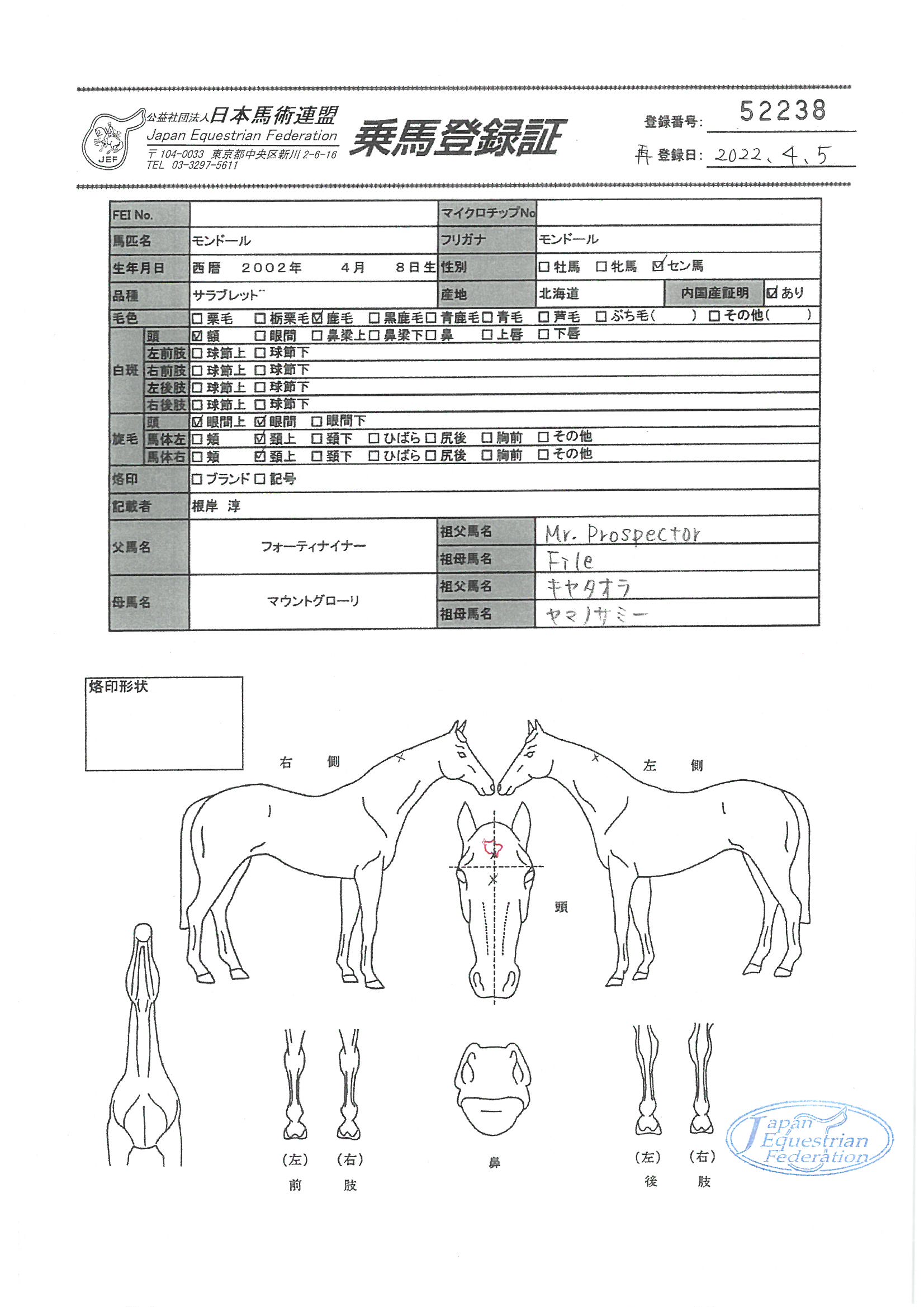 乗馬登録証