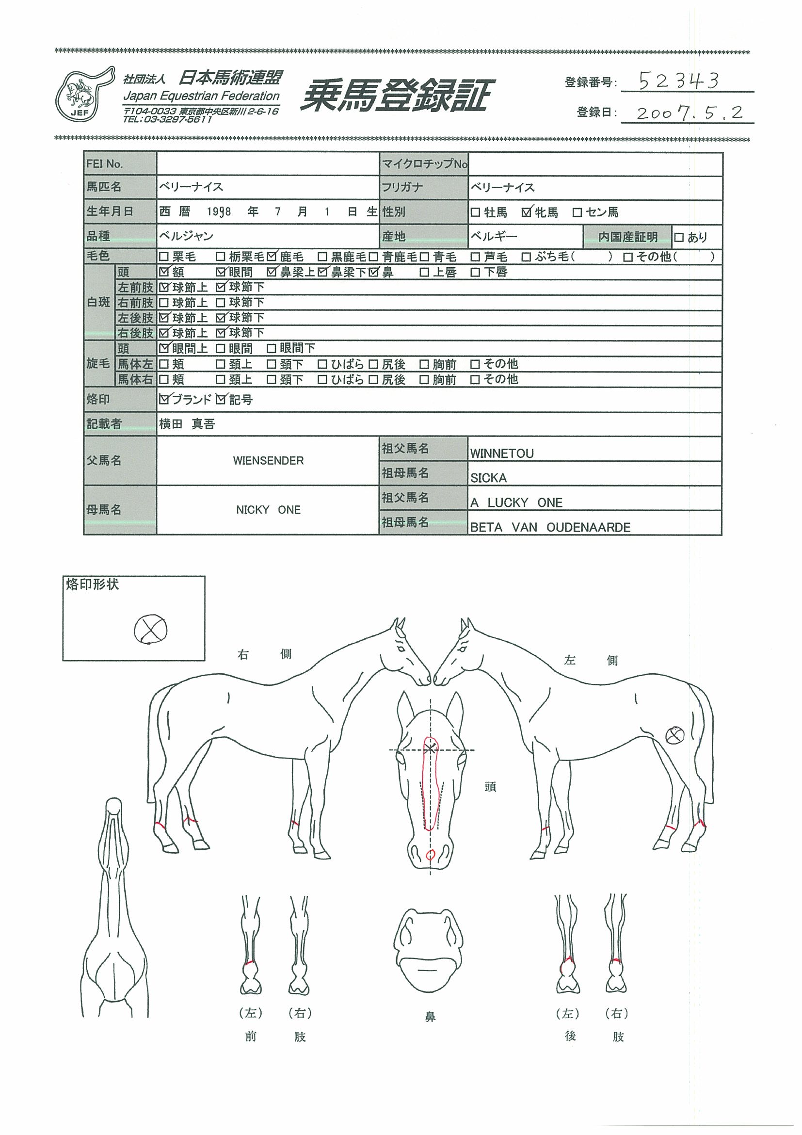 乗馬登録証