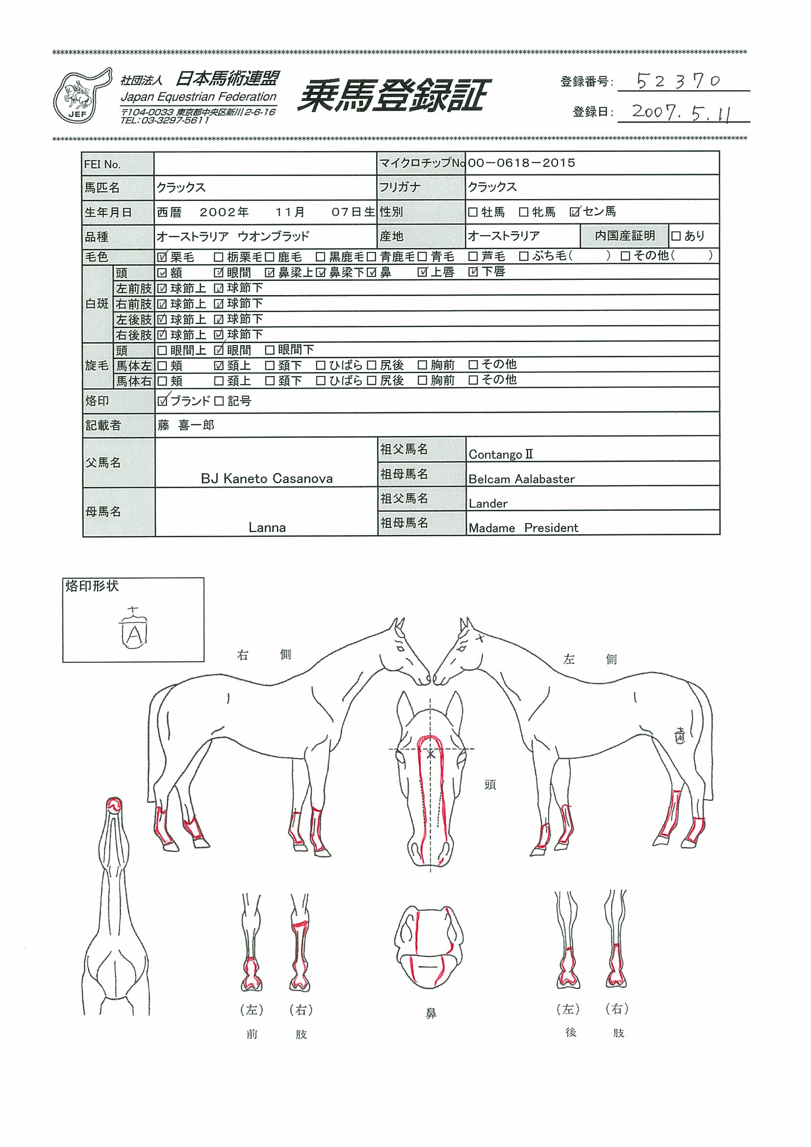 乗馬登録証