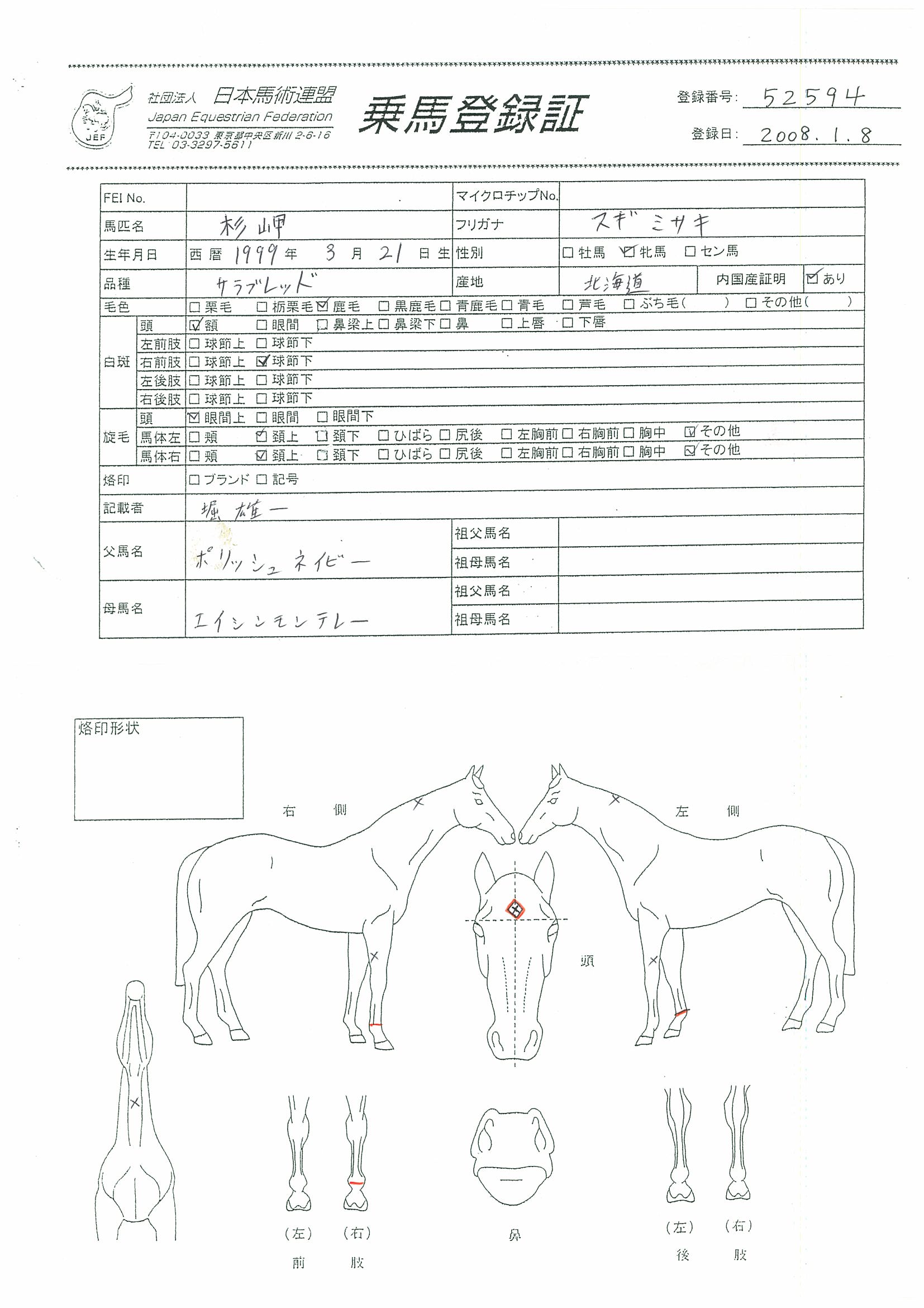 公益社団法人 日本馬術連盟 Japan Equestrian Federation 日本馬術連盟 日馬連 馬術連盟 公益社団法人 日本馬術連盟