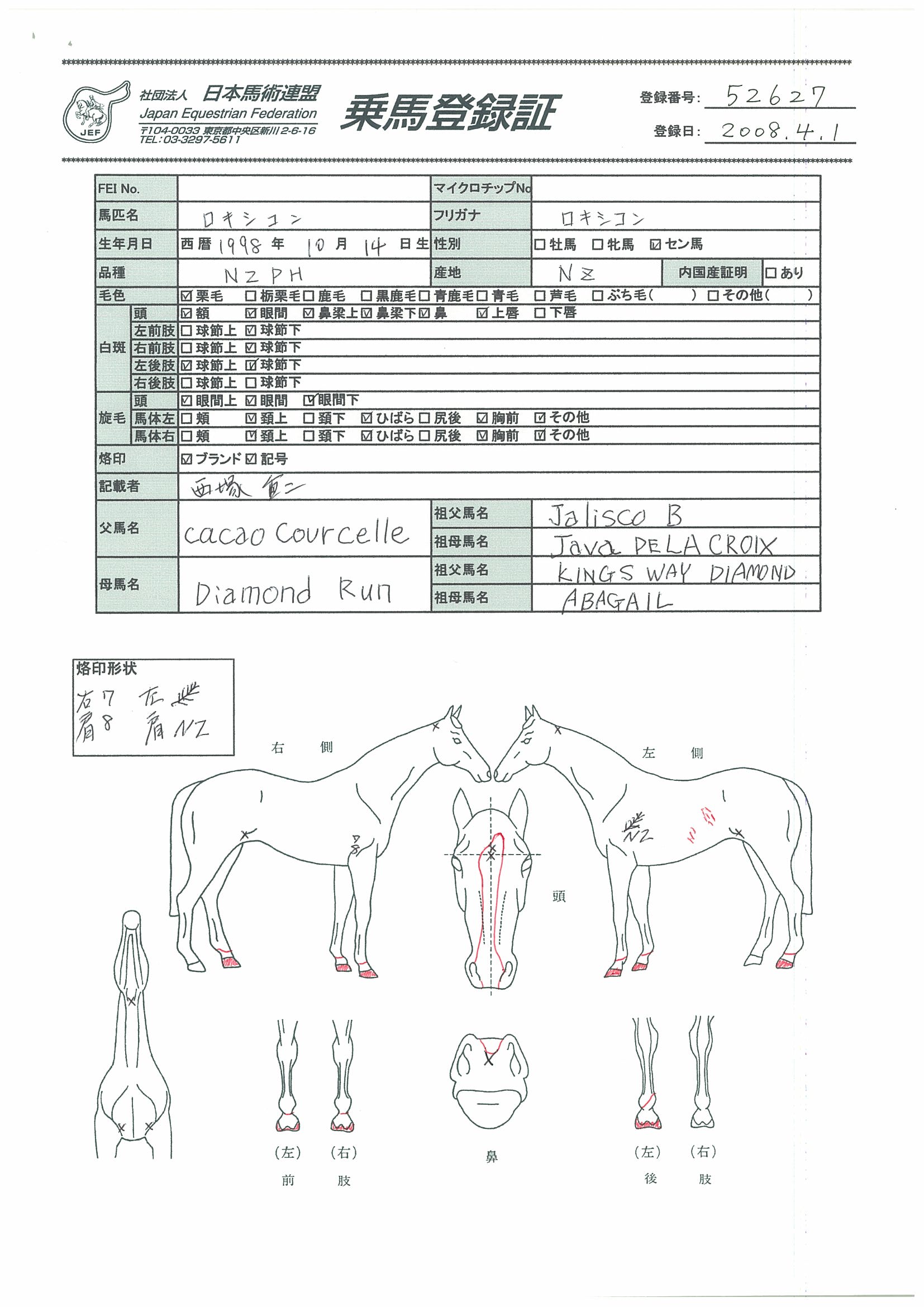 公益社団法人 日本馬術連盟 《Japan Equestrian Federation