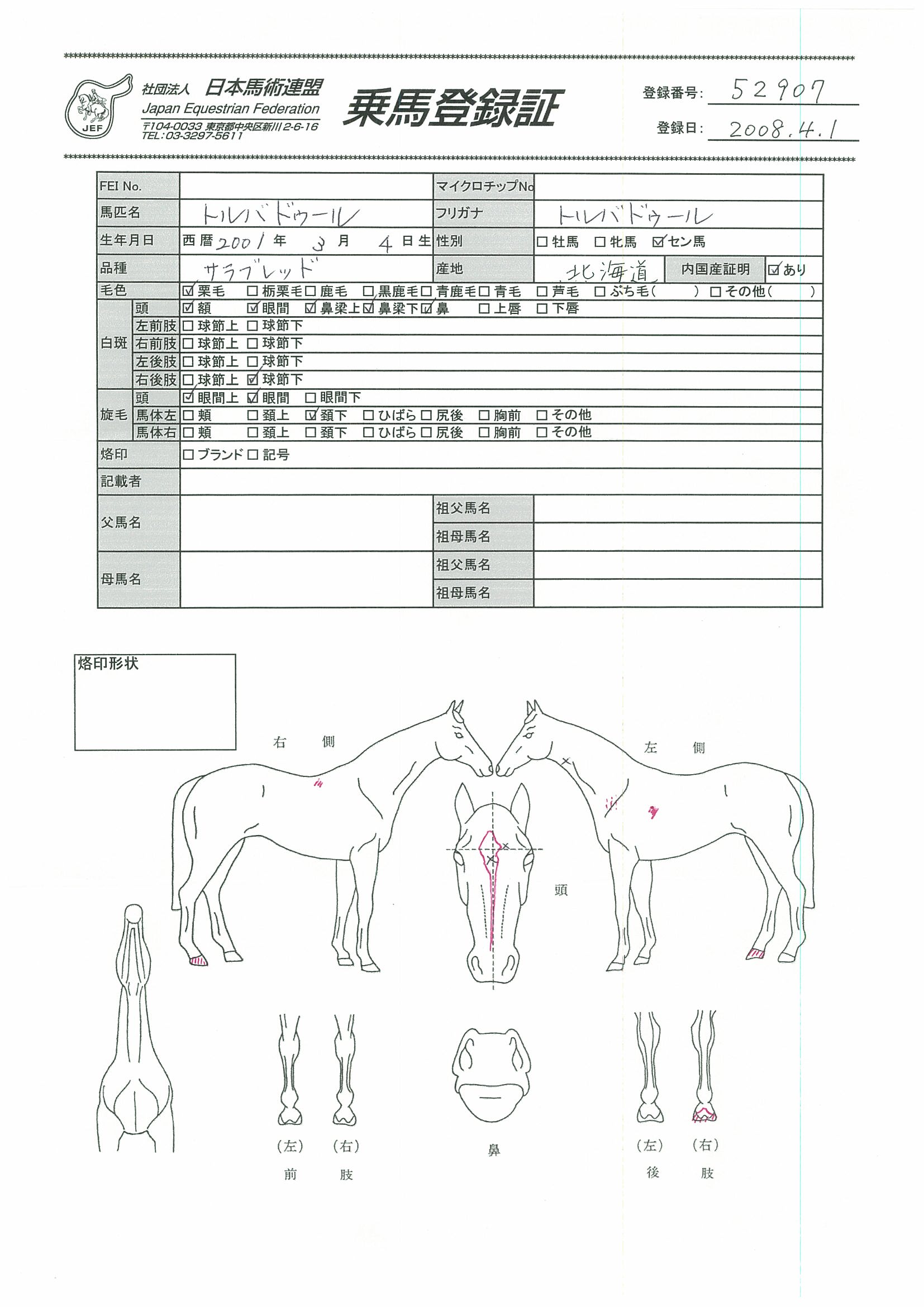 乗馬登録証