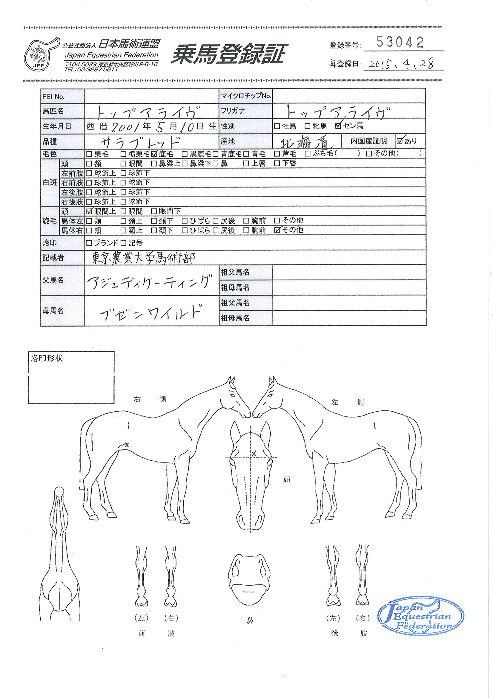 乗馬登録証