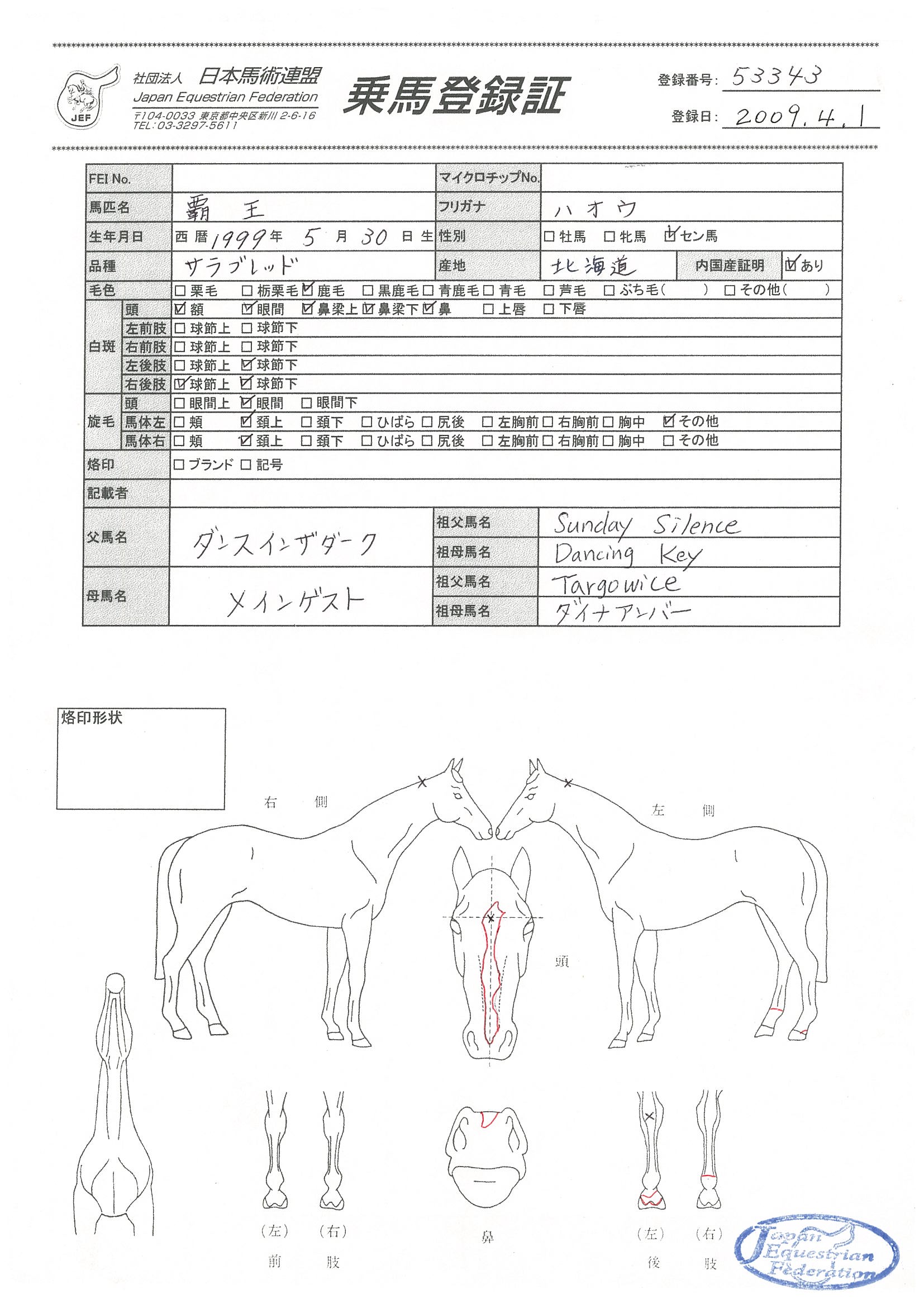 乗馬登録証