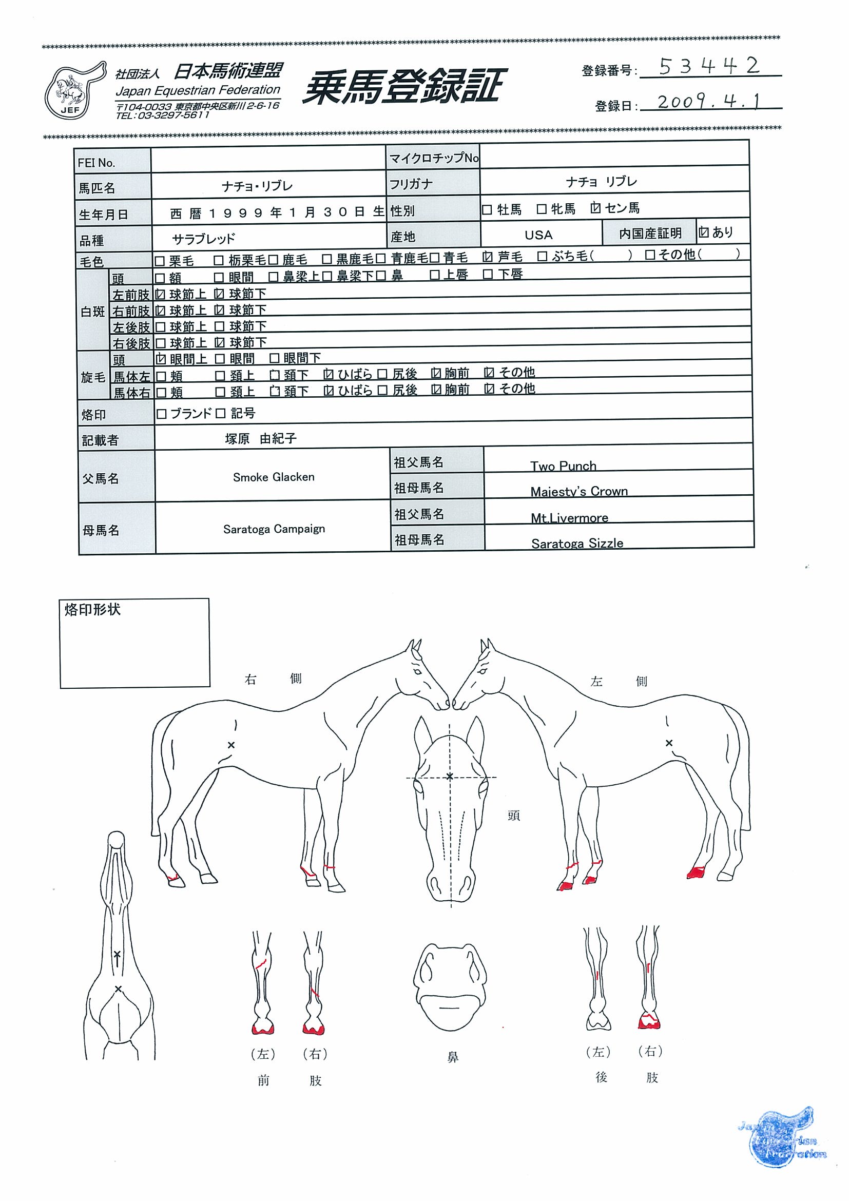 公益社団法人 日本馬術連盟 Japan Equestrian Federation 日本馬術連盟 日馬連 馬術連盟 公益社団法人 日本馬術連盟 公益社団法人 日本馬術連盟 Japan Equestrian Federation 日本馬術連盟 日馬連 馬術連盟 公益社団法人 日本馬術連盟