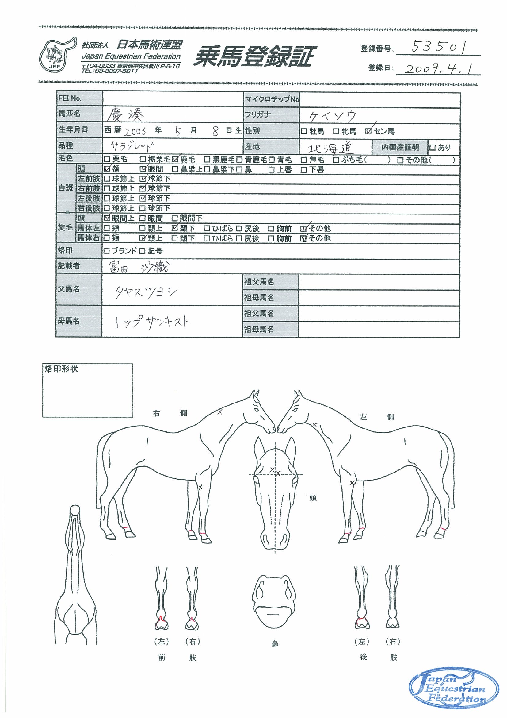 乗馬登録証