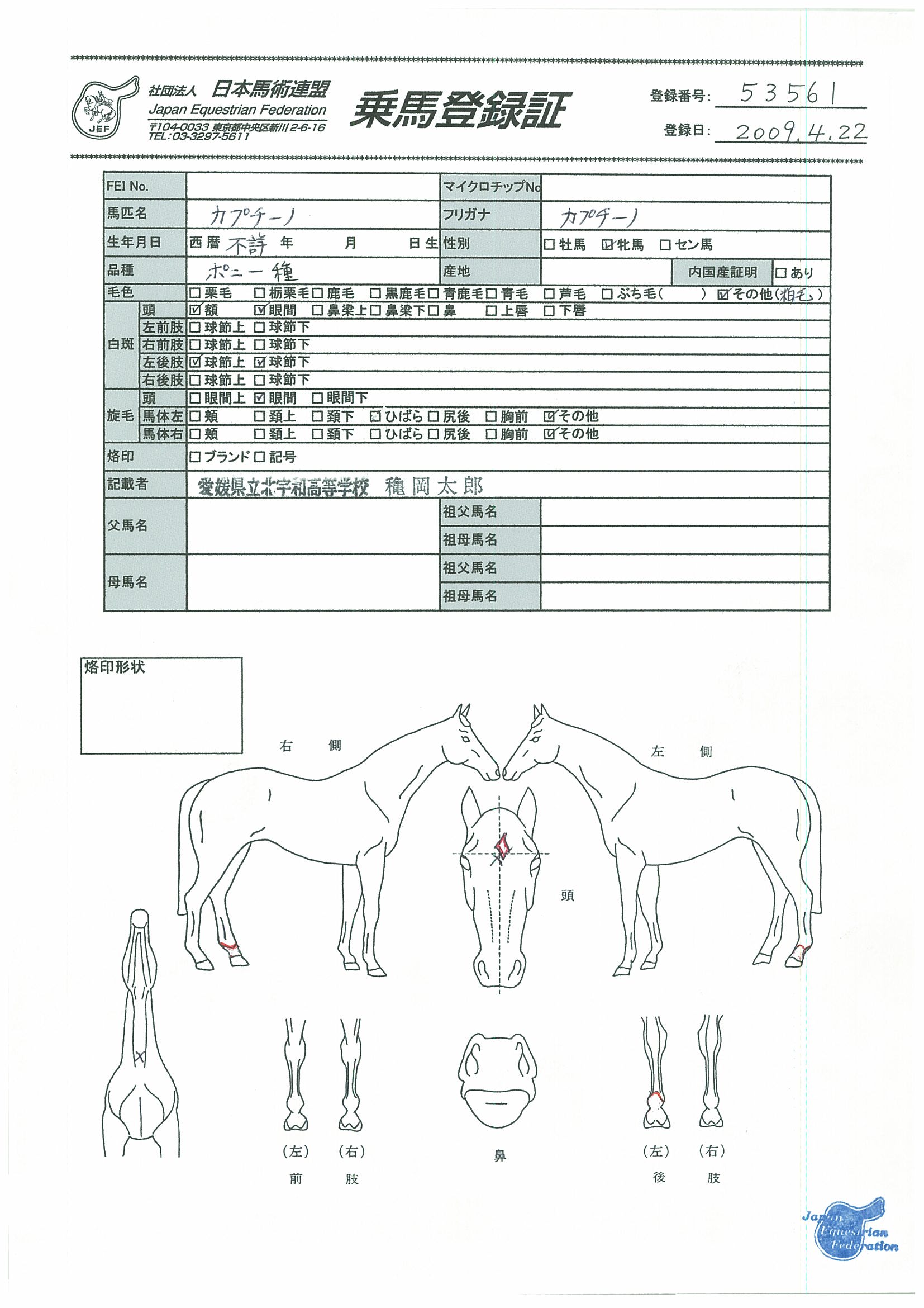 乗馬登録証