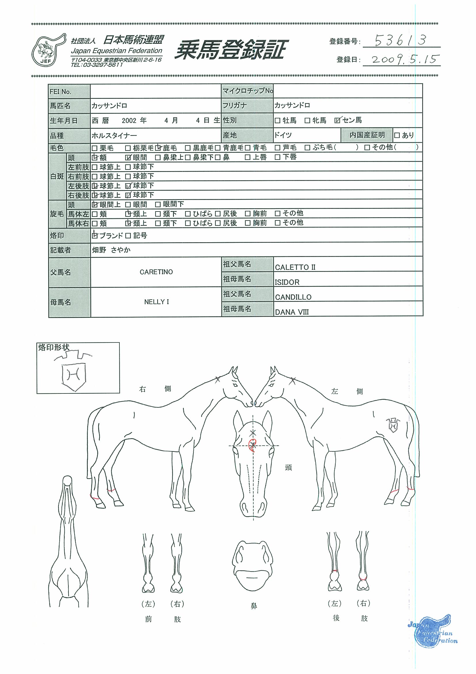 公益社団法人 日本馬術連盟 《Japan Equestrian Federation