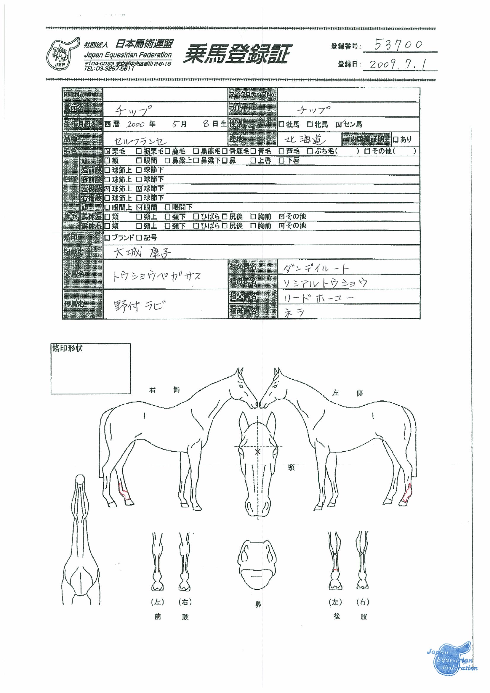 乗馬登録証