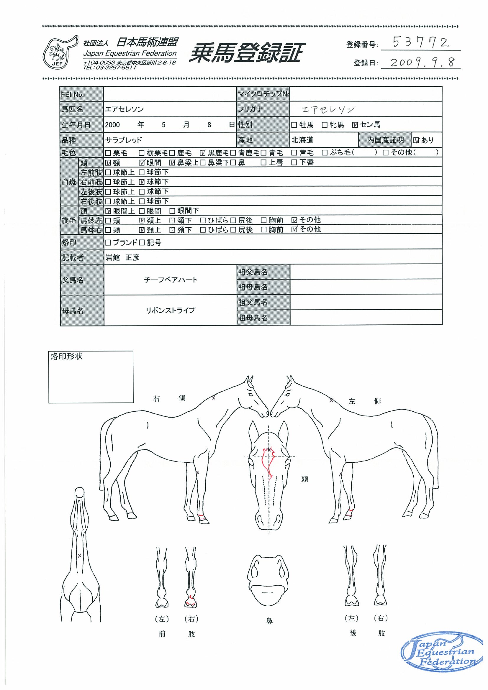 乗馬登録証