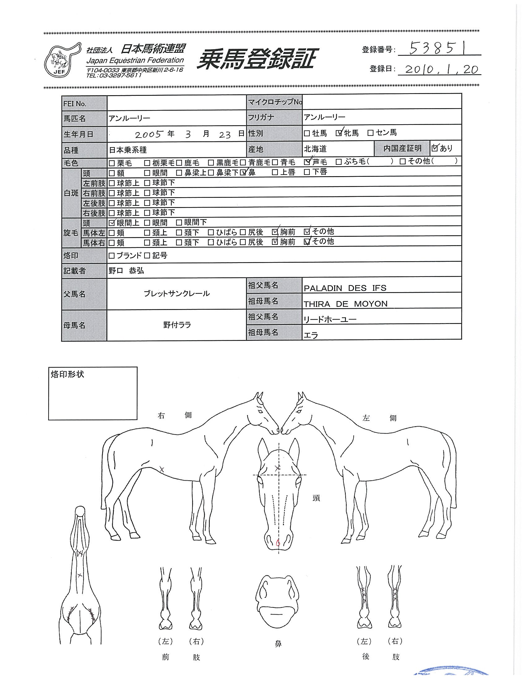 乗馬登録証
