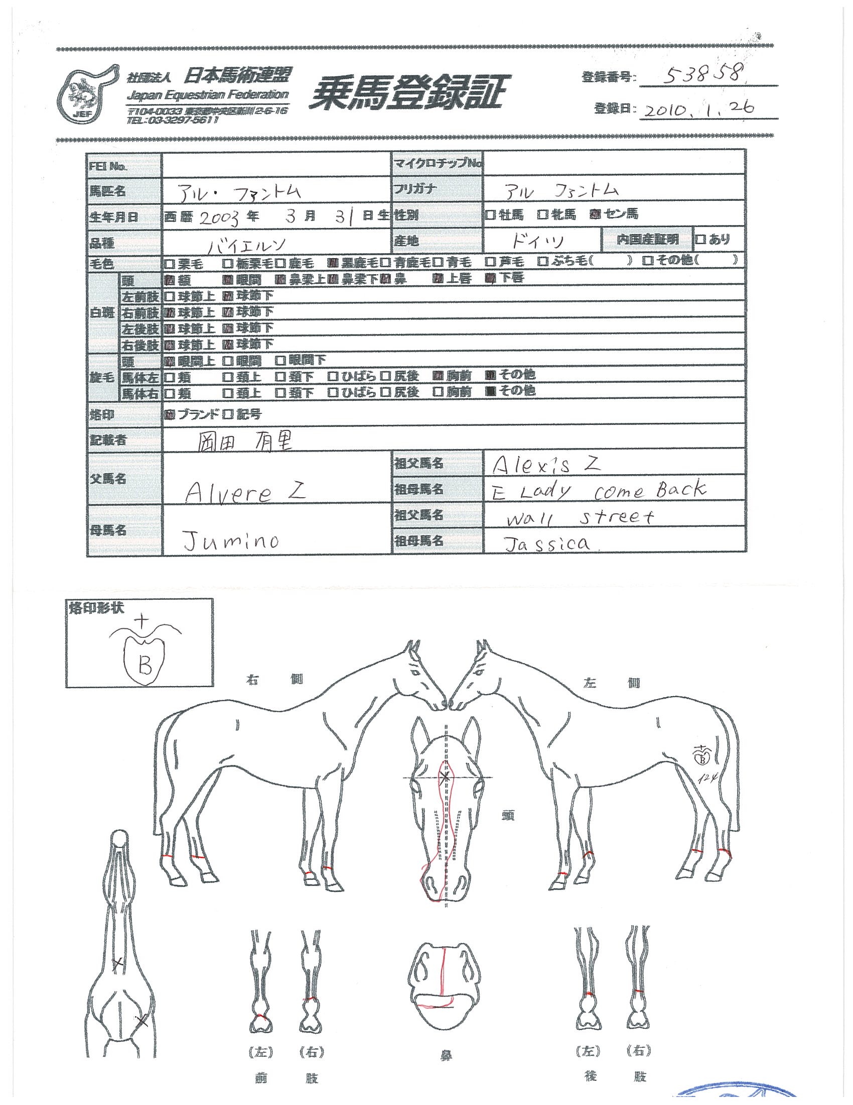 公益社団法人 日本馬術連盟 Japan Equestrian Federation 日本馬術連盟 日馬連 馬術連盟 公益社団法人 日本馬術連盟