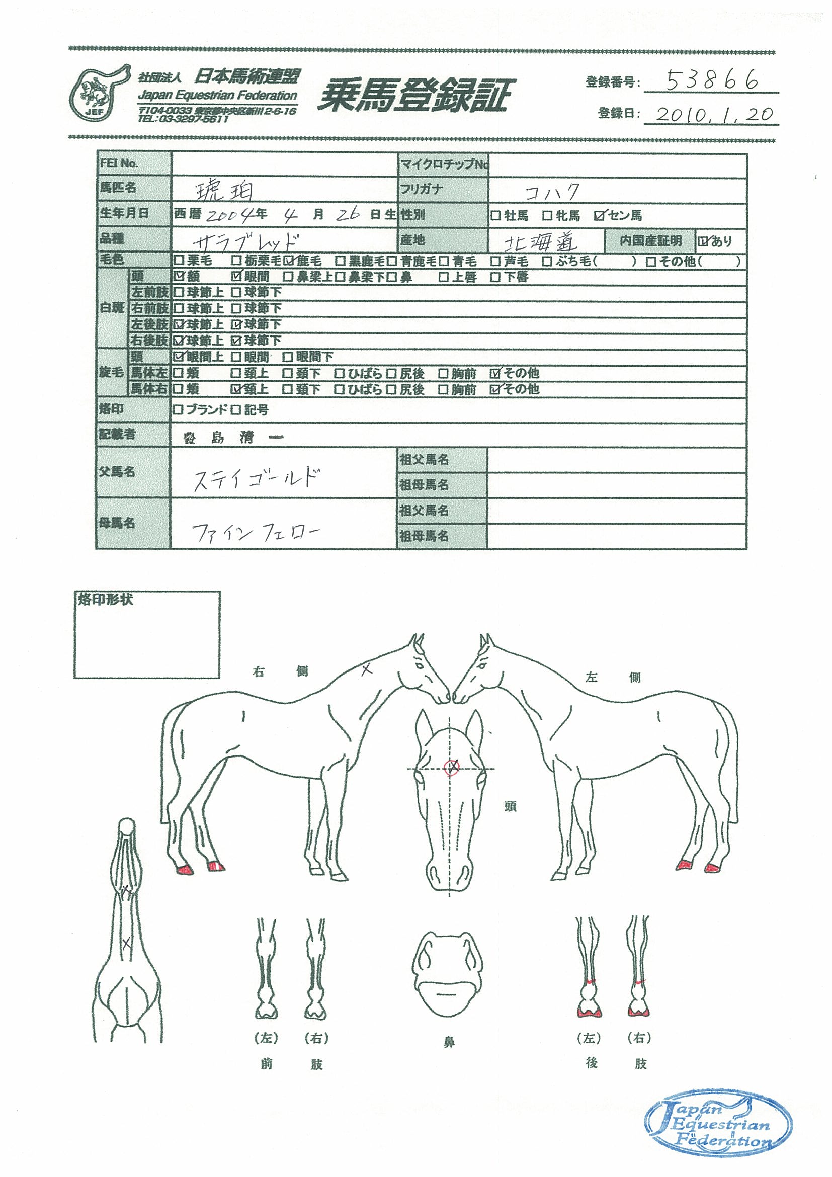 乗馬登録証