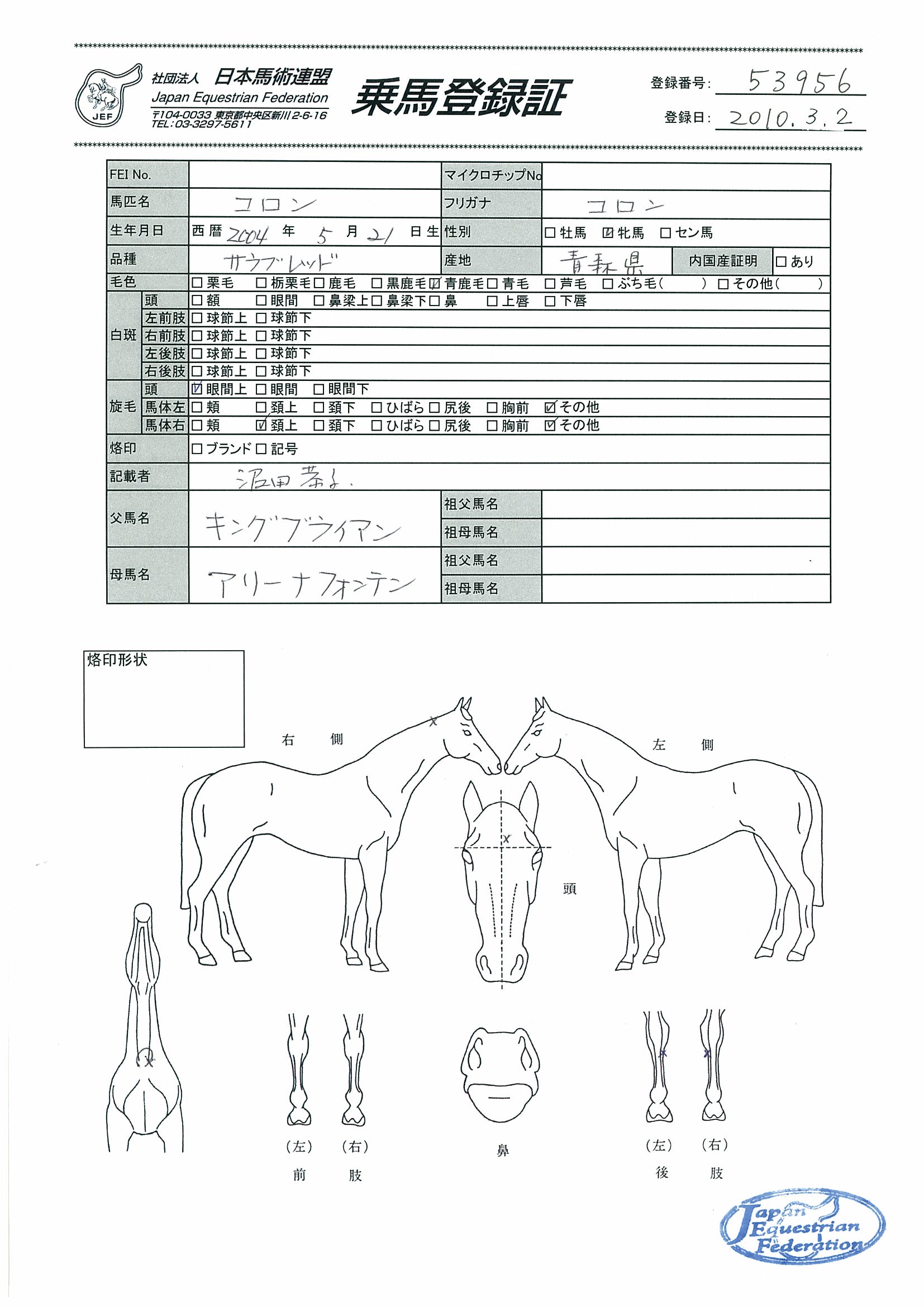 乗馬登録証