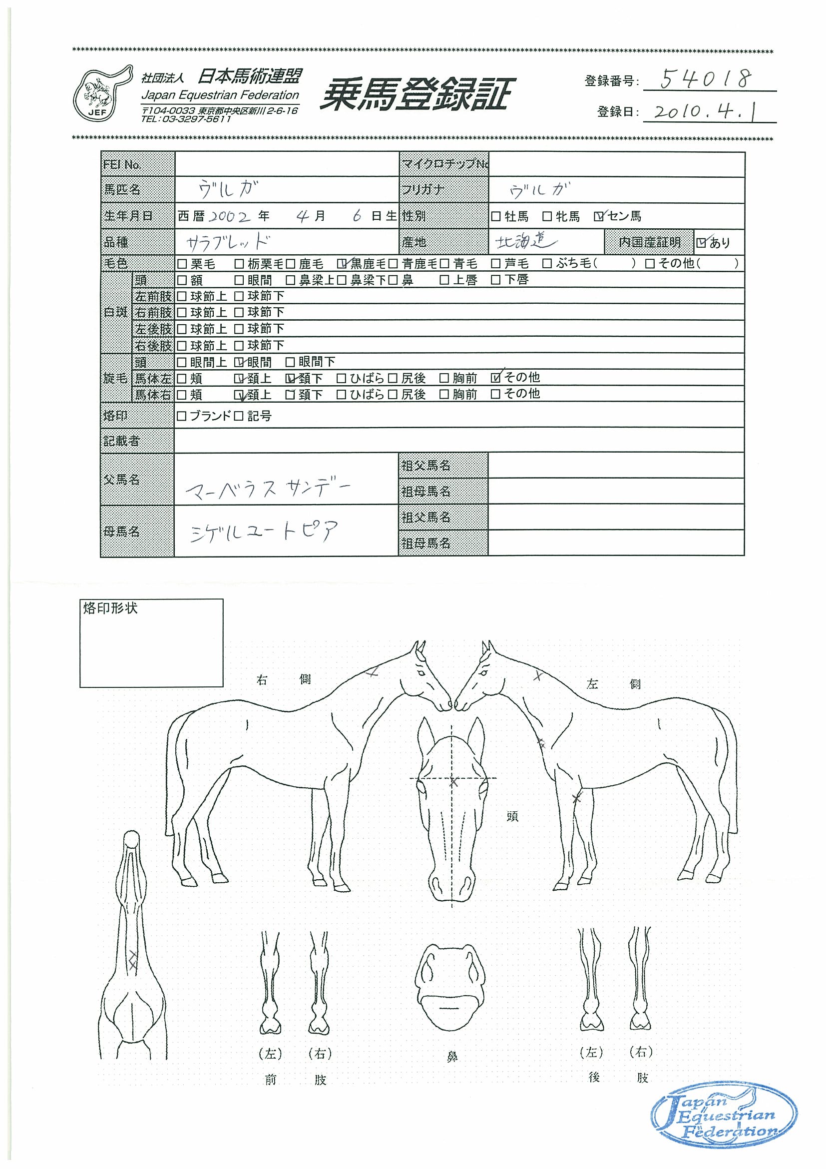 乗馬登録証
