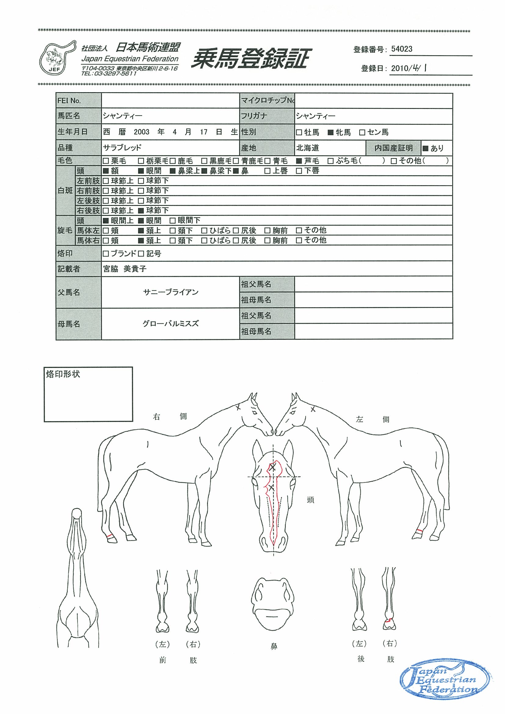 【中古】 競馬「３連単」ゴールドラッシュ さらにパワーアップした新馬券戦術のミハルミ「トライ/ベストブック/ミハルミ 競馬「3連単」ゴールドラッシュ ベストセレクト : ミハルミ