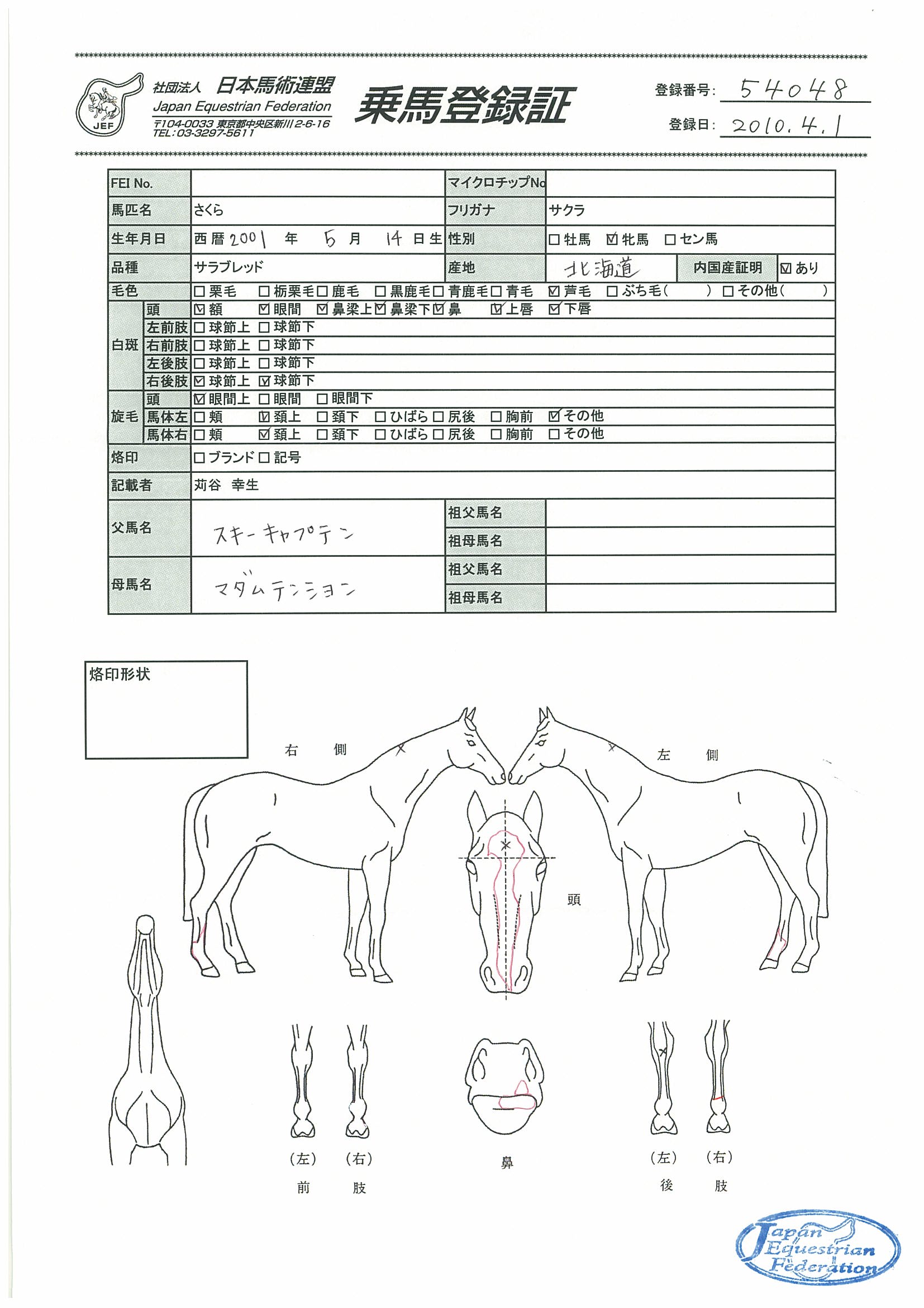 乗馬登録証