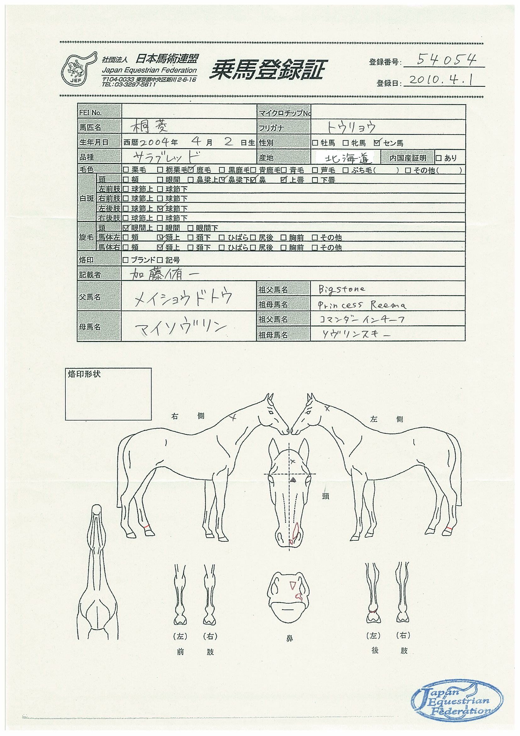 乗馬登録証